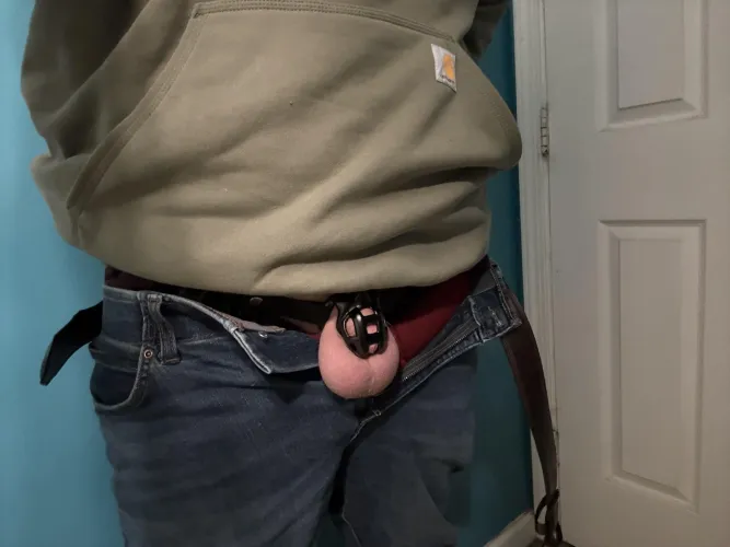 New cobra came today