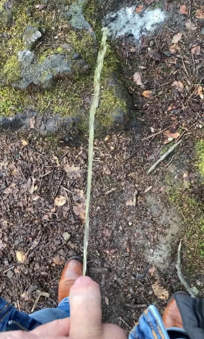 New pissing in the forest