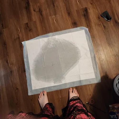 New video posted (aftermath here)