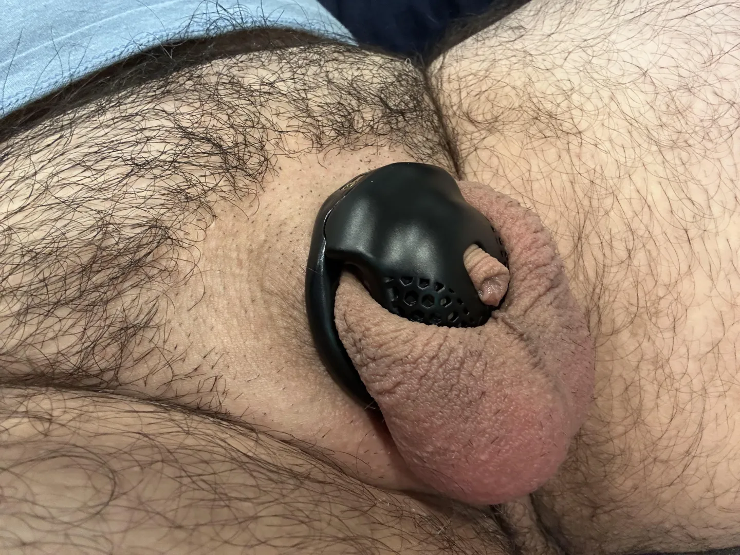 New Year, smaller cage