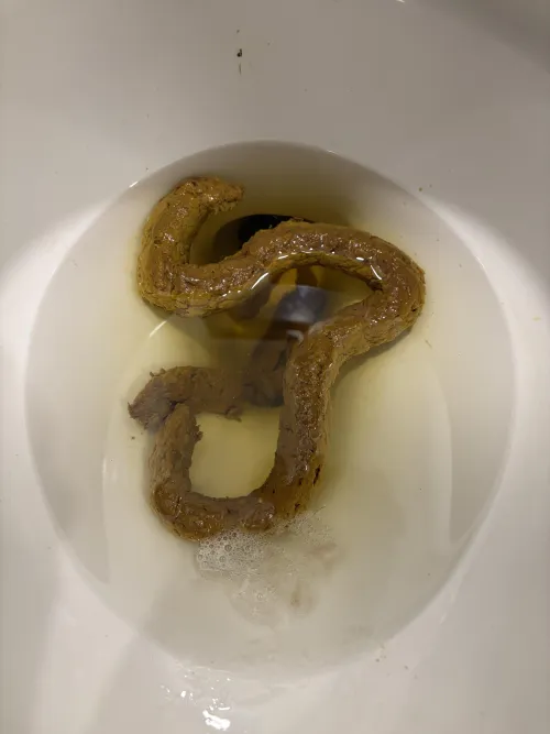 nice big turd
