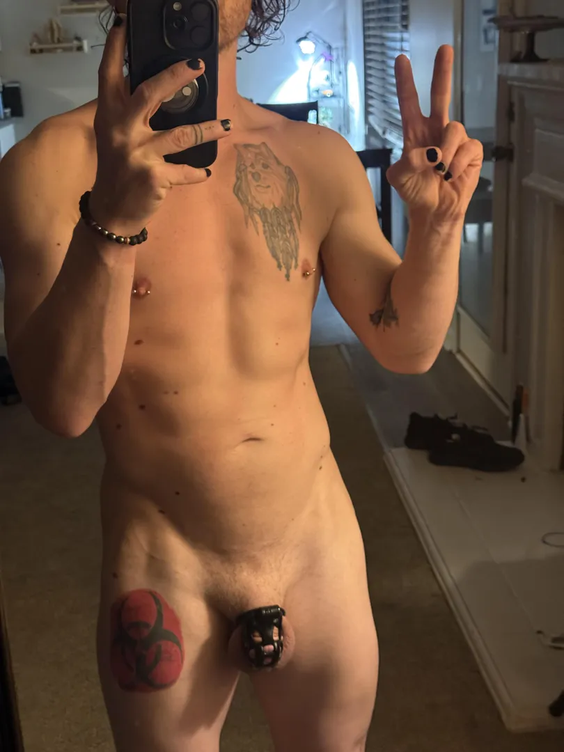 Night 38. Hope you all have good dreams