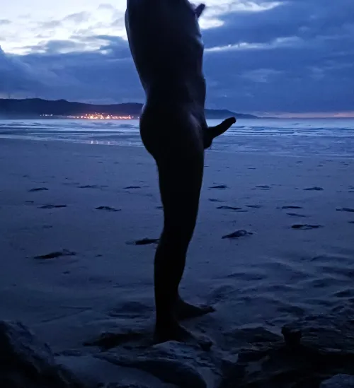 Nighty nudist beach boner
