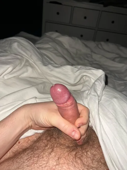 Noen som har lyst på?