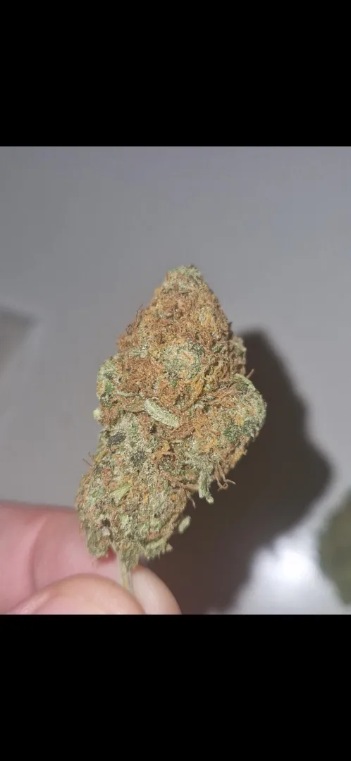 Noen som kjenner til dette strainet? Hva er det