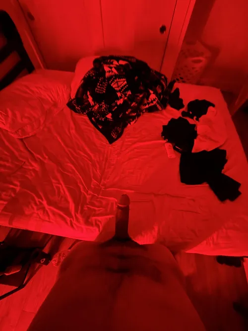 - Northern Ute Cock -