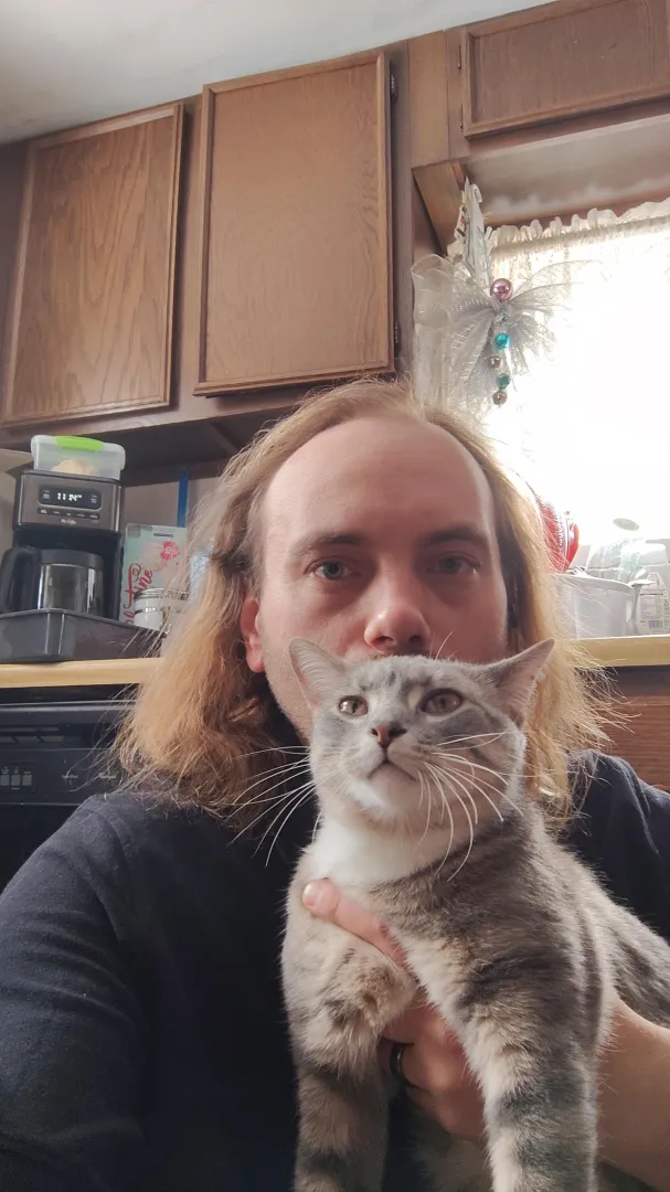 Not the kitty I want at the moment lol 36 m , why is Newberry so boring