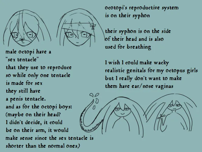 Octopi genitals: what I'm willing to make accurate and what I'm not