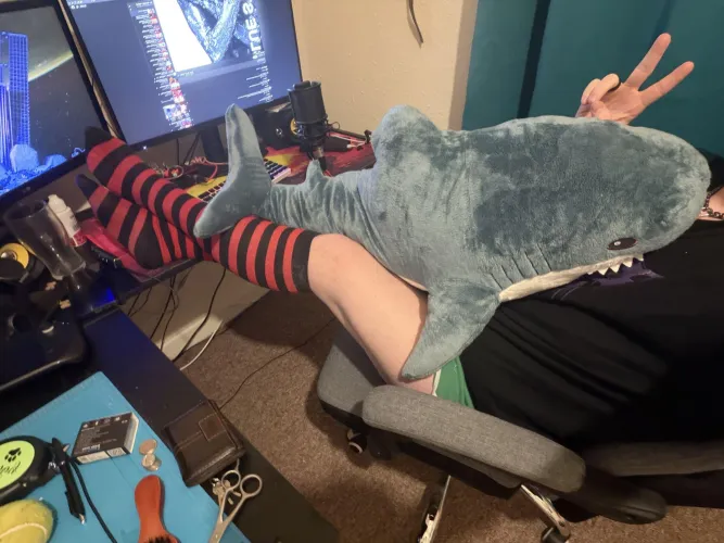 Oh hi, wanna take Blahaj place in my lap?