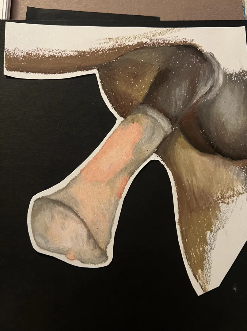 Oil pastel study (OC)