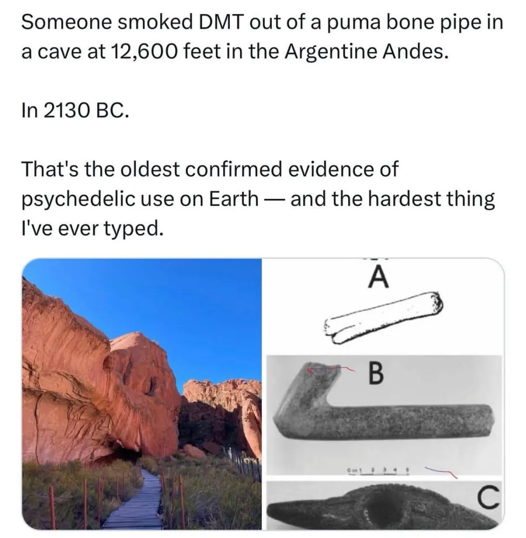 Oldest known use of psychedelics