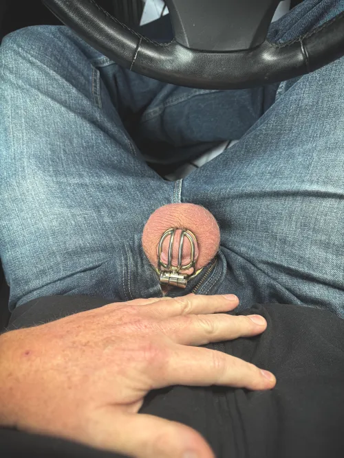 On my lunch break sending my wife a quick cage check.