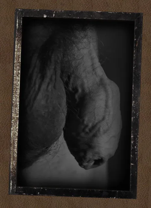 Once upon a time... Vintage profile portrait.