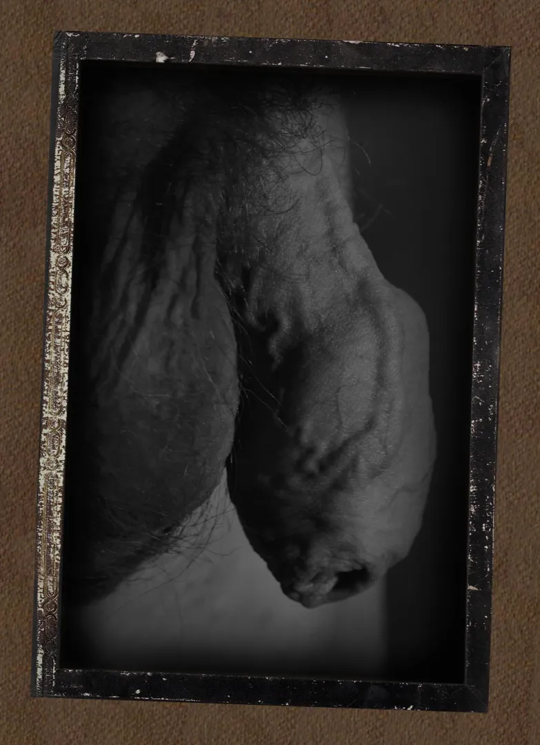 Once upon a time... Vintage profile portrait.