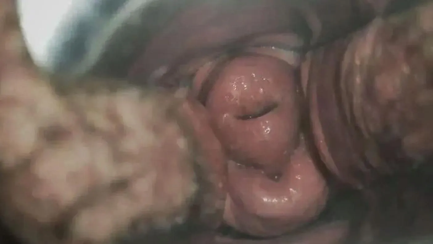 One of my fav pics of myself [FTM]