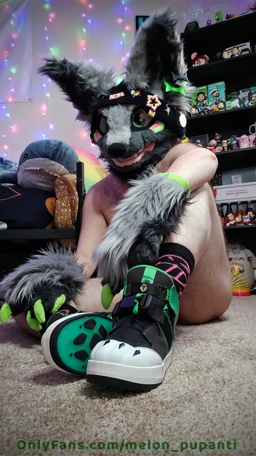 One of my favorite Melon pics