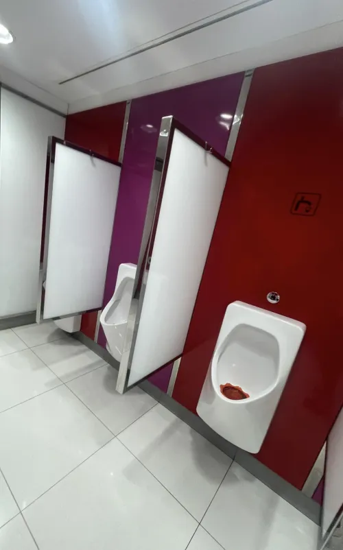 Orly airport urinals Paris