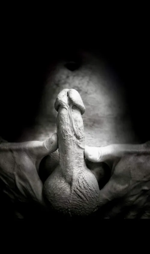 Out of the shadows and into the light..