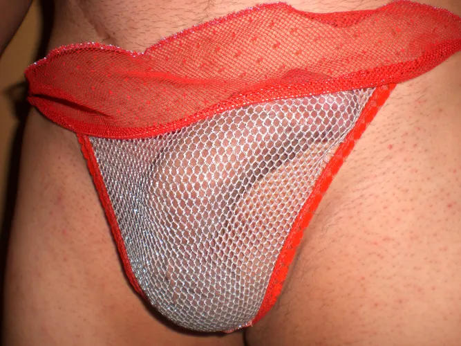 panties de res transparente