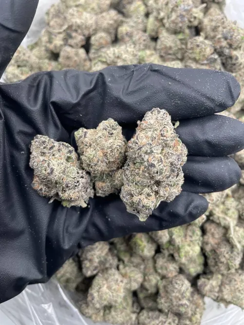 Permanent Marker ️ (Irving/Cypress Waters/Grapevine/Coppell/Carrolton/Lewisville)