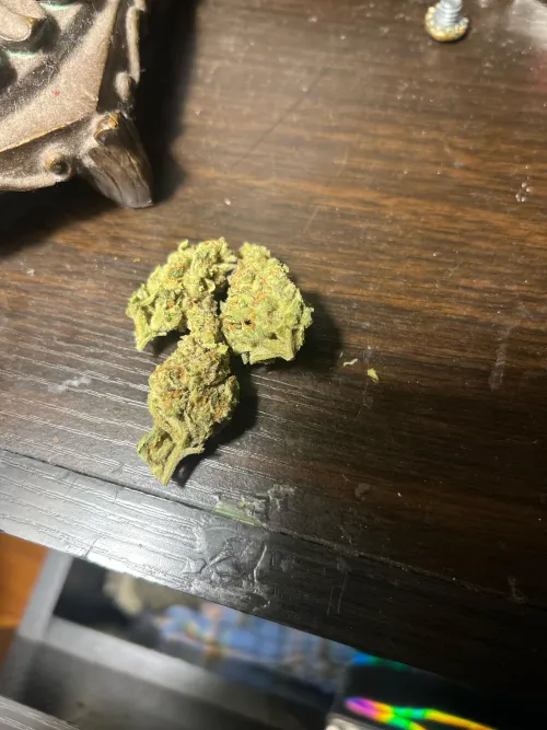 PHC Coconut Creme Budget 2 zips