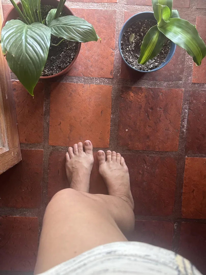 plants and toes. morning