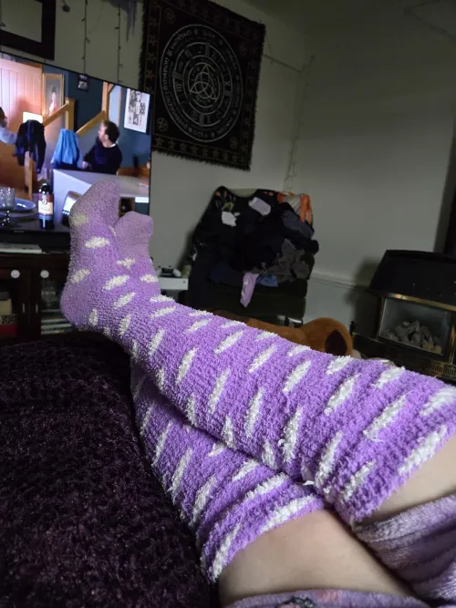 Polka fuzzies chilling hard  wanna sniff? Earn it first 