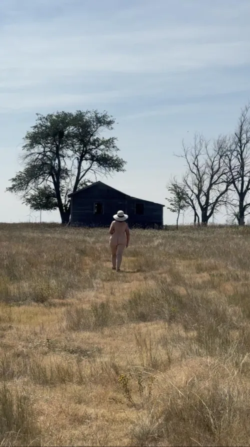 Prairie Silhouette in color 🌻