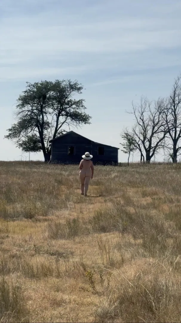 Prairie Silhouette in color 🌻