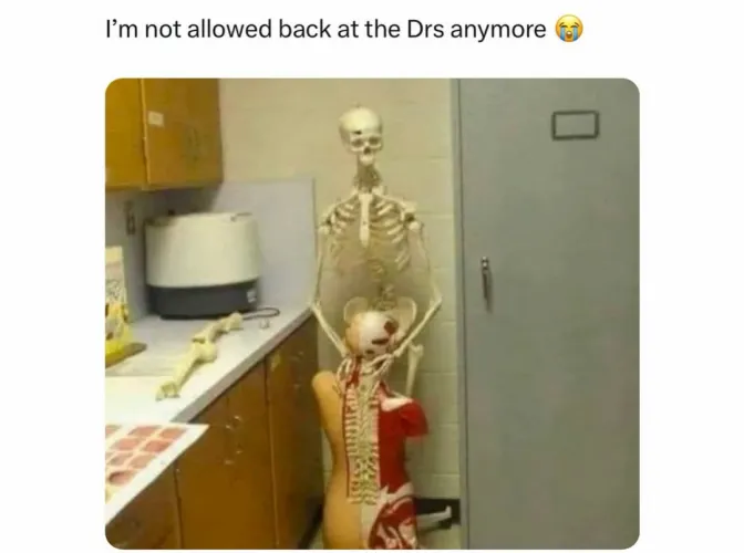 Pulled one prank and got banned