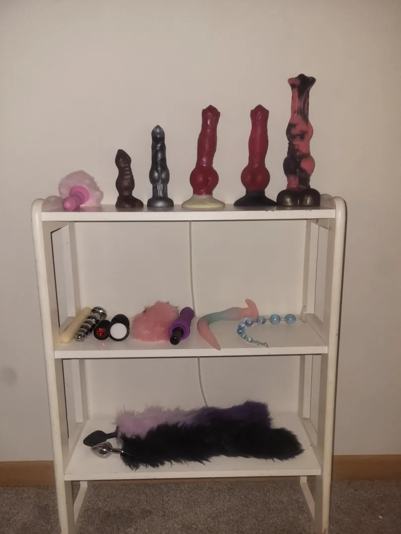 Puppy has so mamy toys and no motivation to use them...