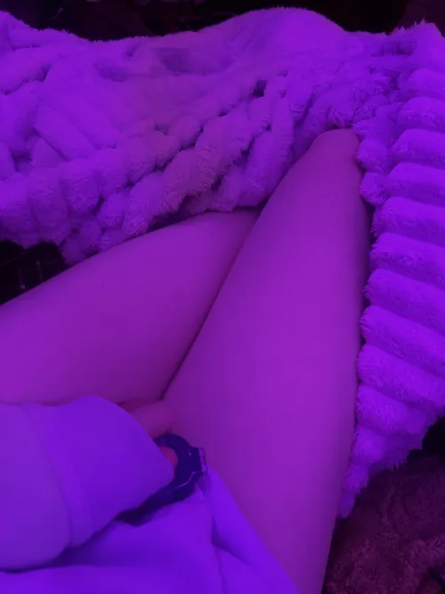 puppy high n bored…. anyones wanna talk,,?