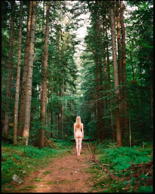 Pure gold in the forest