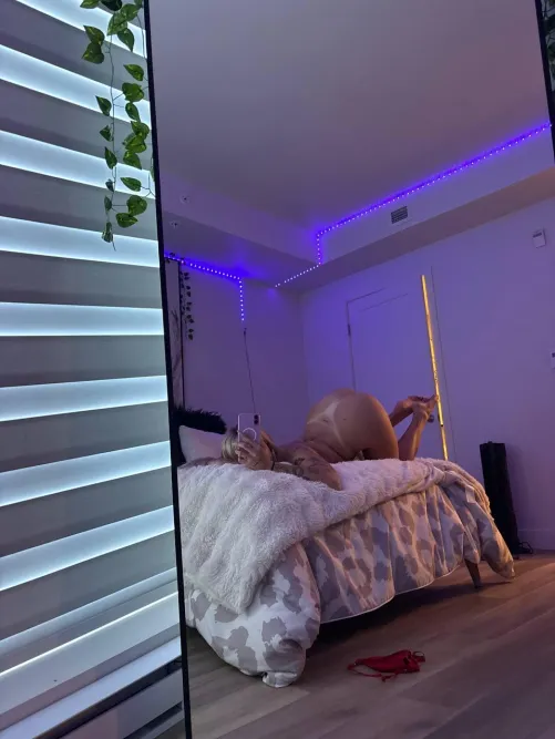 Pussy dripping onto the sheets — come lick me from clit to ass then slide in.