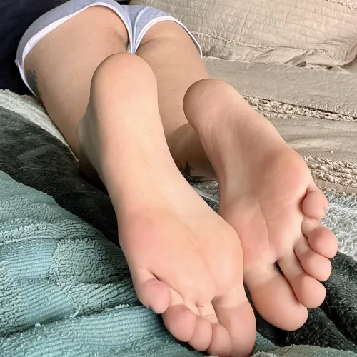 Put your face right here