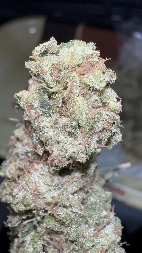 Qual foi a strain mais resinada que você já pegou?