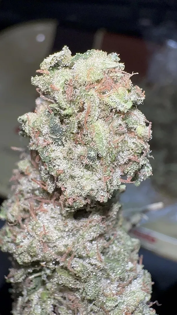 Qual foi a strain mais resinada que você já pegou?