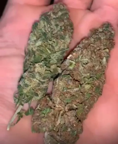 qual vcs escolheriam: 1 ou 2?