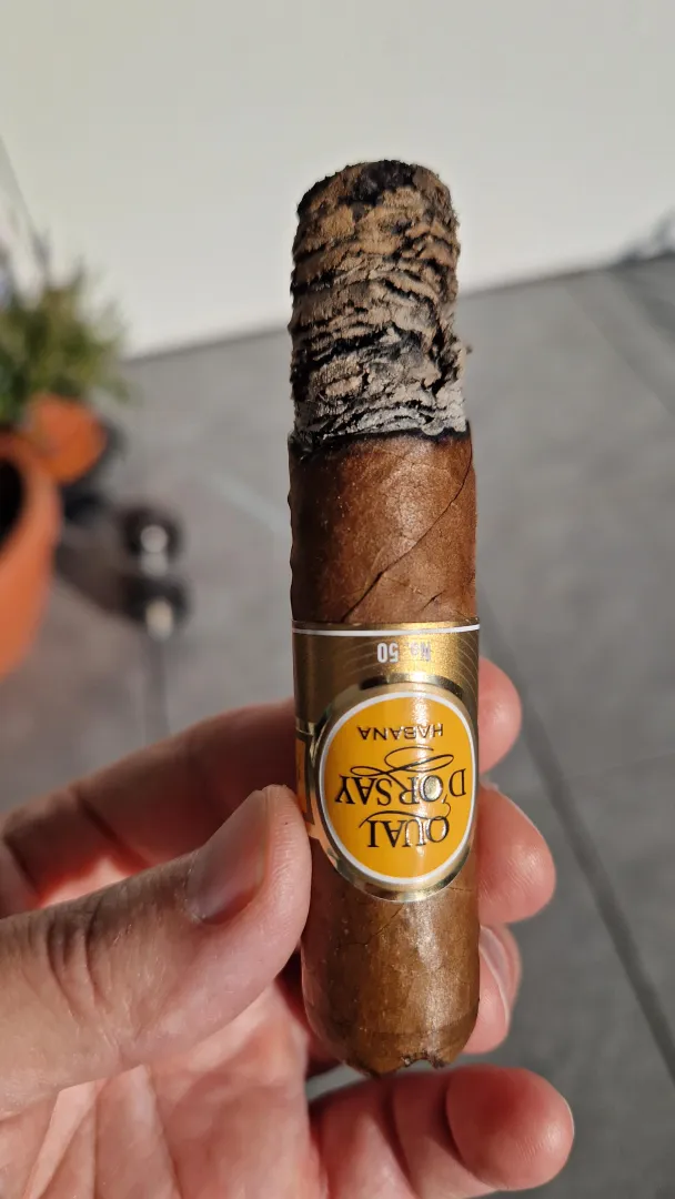 Quay d'Orsay 50 on a faux spring day