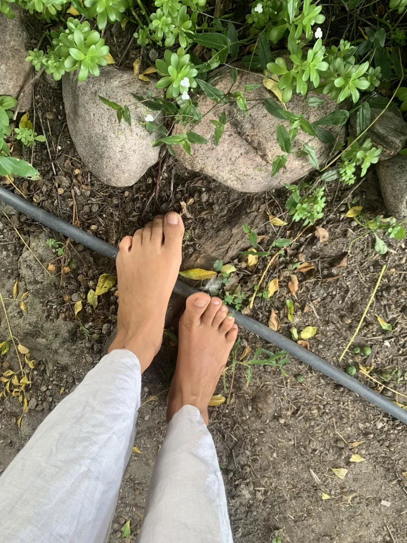 Que habrá detrás de esas pisadas? 