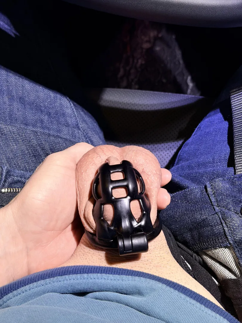 Quick cage check while driving in my N+ Cobra