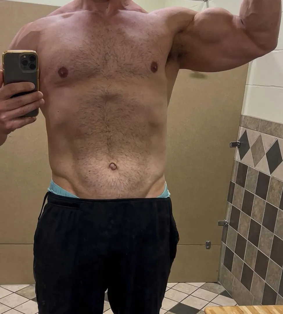 Quick fox of the 23s