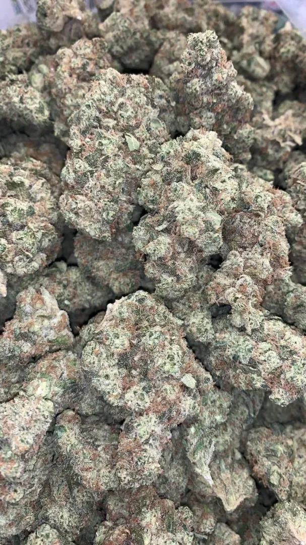 Quiet Kings Menu (H)