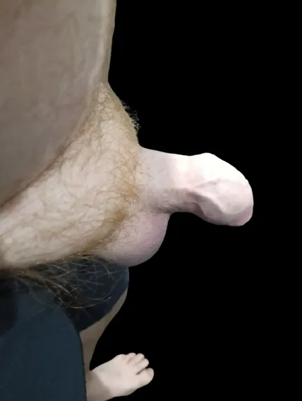 Released to the wild