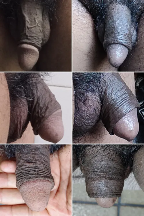 Resultados após oito meses