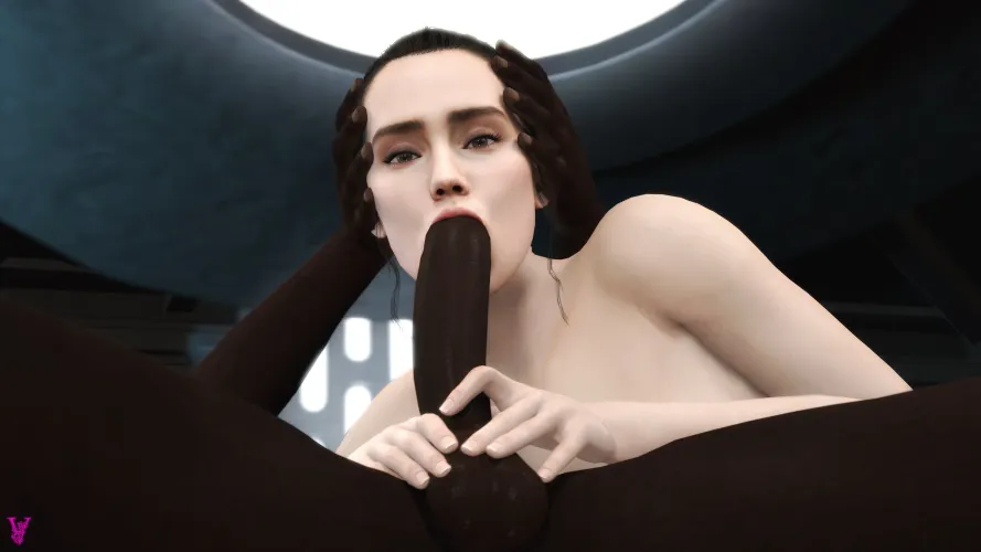 Rey - Guidance (Violetta)