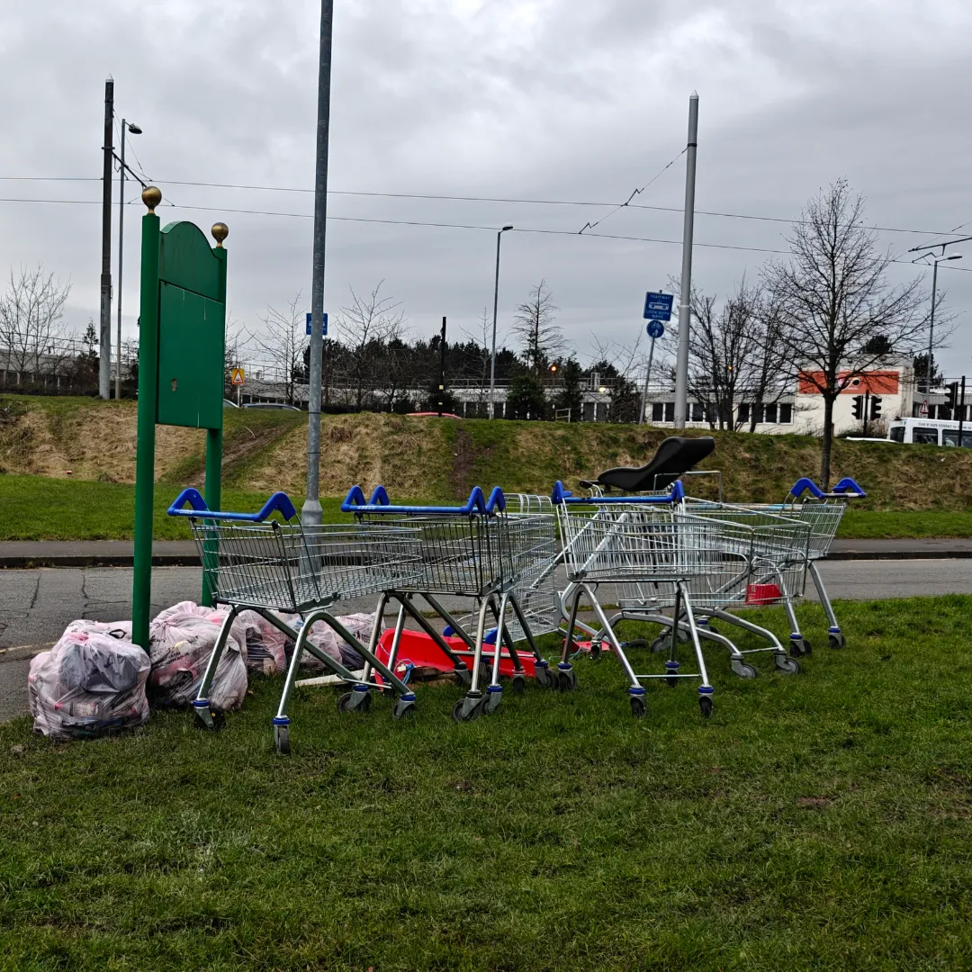 Roadside Wrongness
