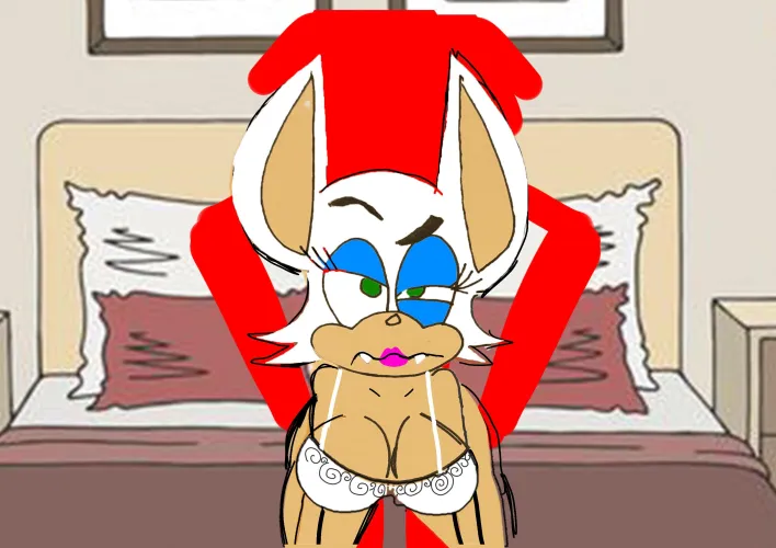 Rouge the bat does doggystyle to avoid butting her own hubby knuckles
