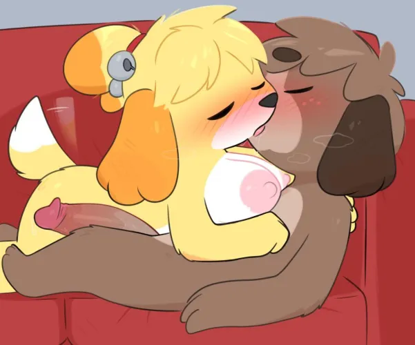 Round #11 499/500 digby and Isabelle
