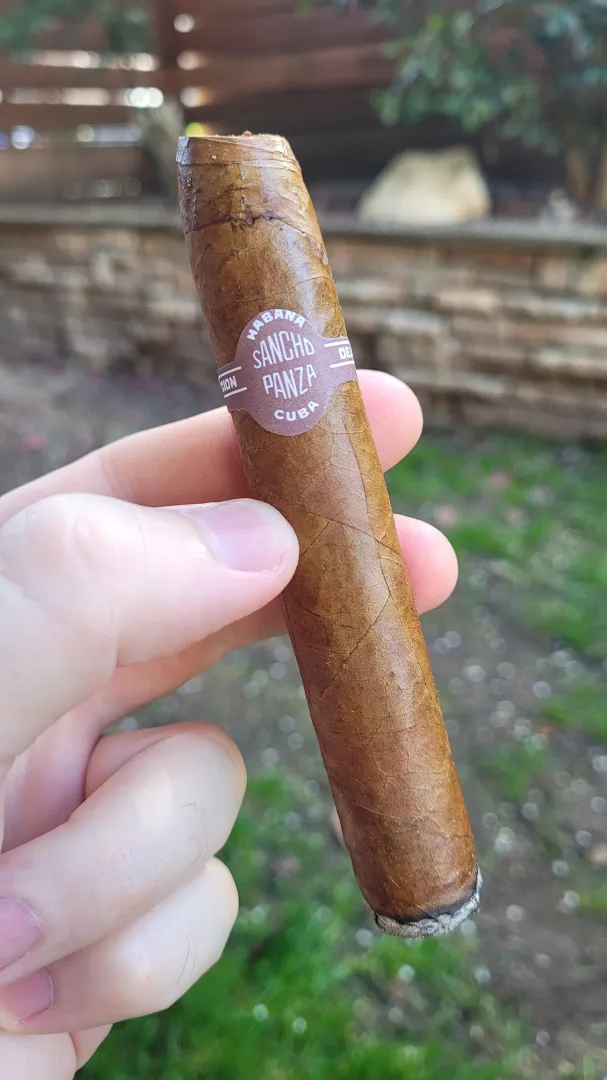 Sanco Panza Beli 18 months old A+